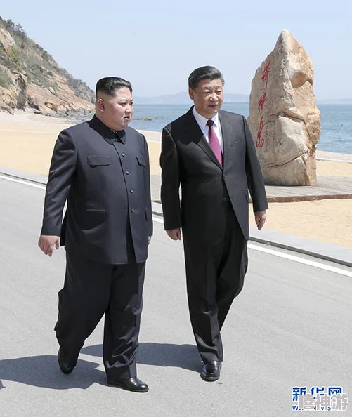 日韩国产综合：震惊！两国领导人秘密会晤，达成历史性协议引发全球关注与热议！