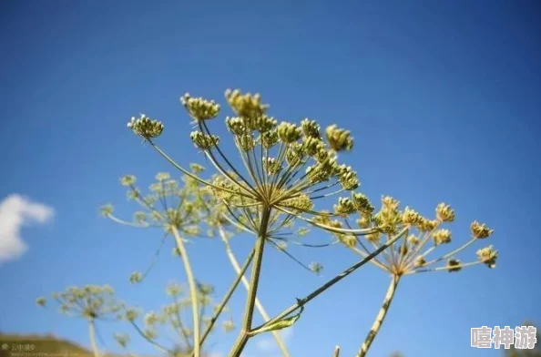 藤蔓进入男男稚嫩的尿孔he视频，展现了独特的艺术表现形式与深刻的人性思考，引发观众热议与反思